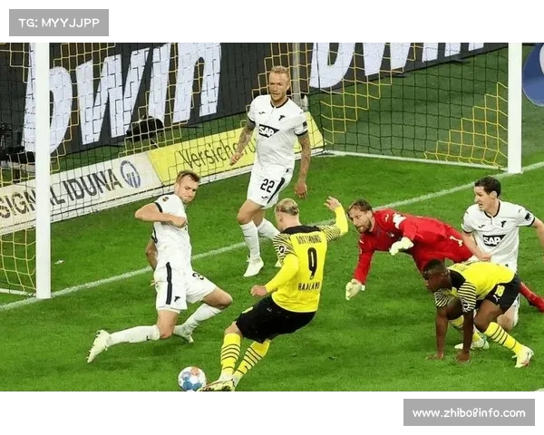 多特蒙德主场迎战霍芬海姆，目标巩固积分榜前三位置