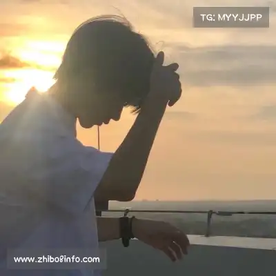 董治鹤